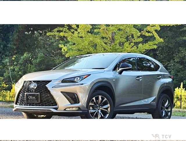 2021 Lexus NX