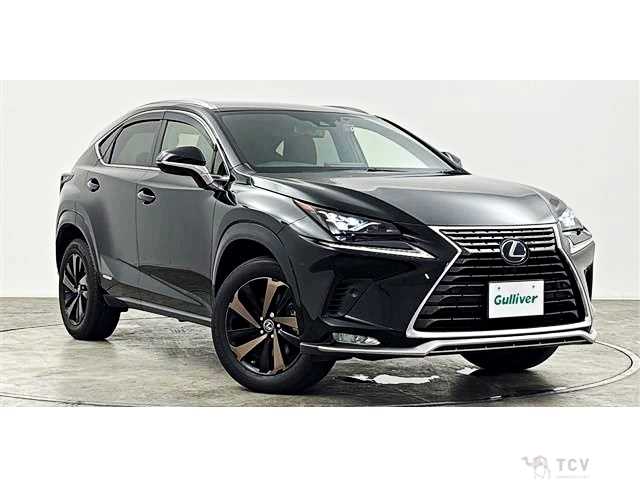 2021 Lexus NX