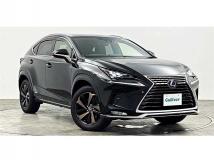 2021 Lexus NX