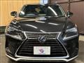 2021 Lexus NX
