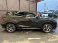 2021 Lexus NX