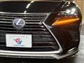 2021 Lexus NX