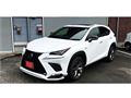 2021 Lexus NX