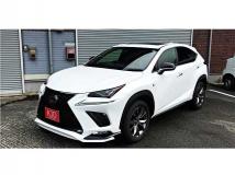 2021 Lexus NX