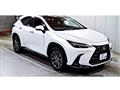 2021 Lexus NX