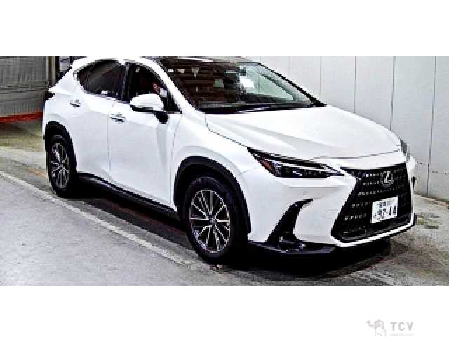 2021 Lexus NX