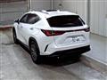 2021 Lexus NX