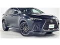 2021 Lexus NX