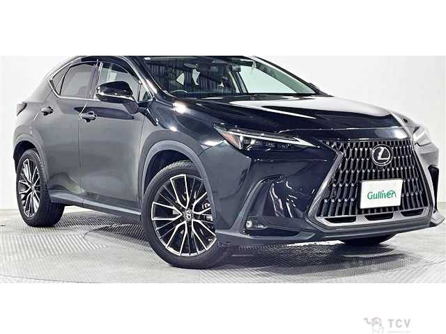 2021 Lexus NX