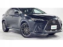 2021 Lexus NX