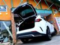 2021 Lexus NX