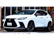 2021 Lexus NX