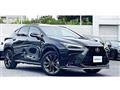 2021 Lexus NX