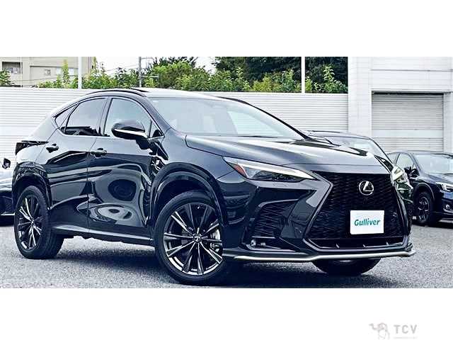 2021 Lexus NX
