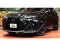 2021 Lexus NX
