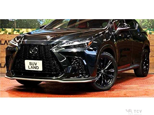 2021 Lexus NX