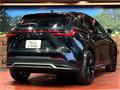 2021 Lexus NX