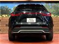 2021 Lexus NX