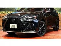 2021 Lexus NX