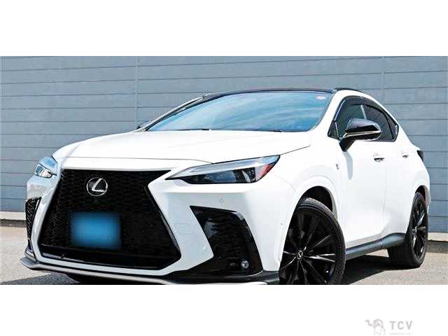 2021 Lexus NX
