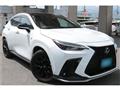 2021 Lexus NX