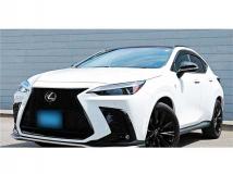 2021 Lexus NX
