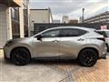 2021 Lexus NX