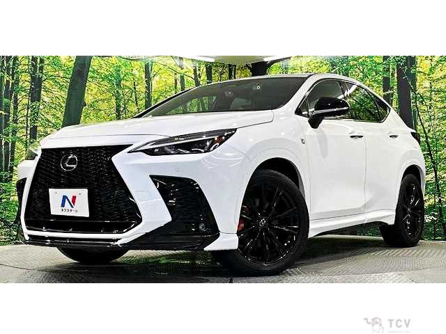 2021 Lexus NX