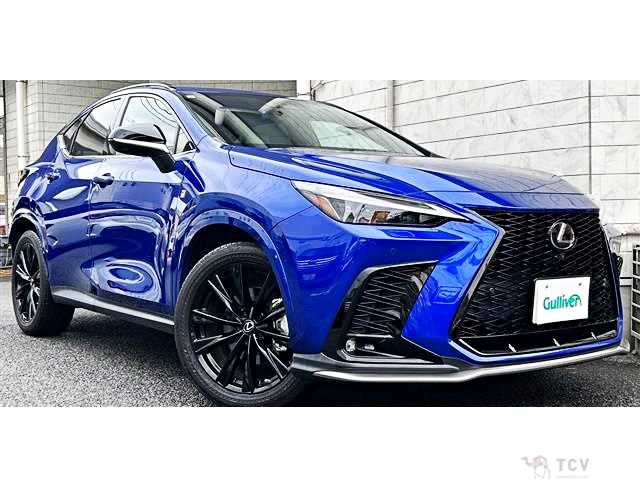 2021 Lexus NX