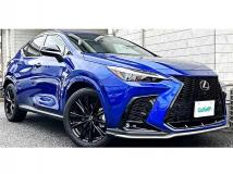 2021 Lexus NX