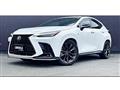 2021 Lexus NX