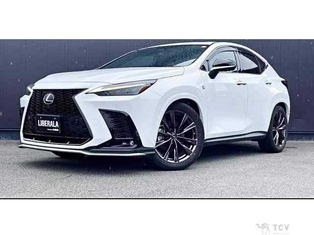 2021 Lexus NX