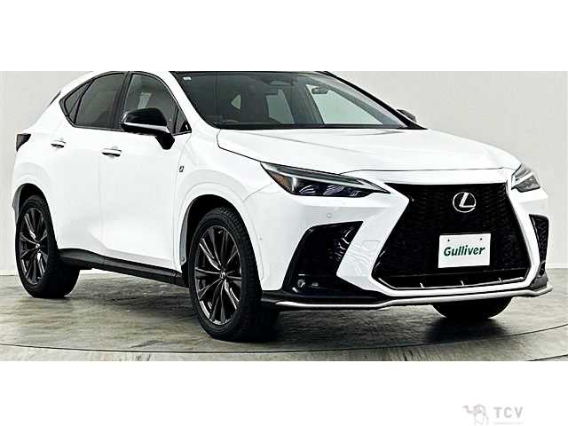 2021 Lexus NX