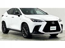 2021 Lexus NX