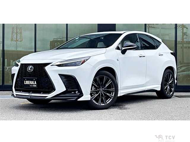 2021 Lexus NX