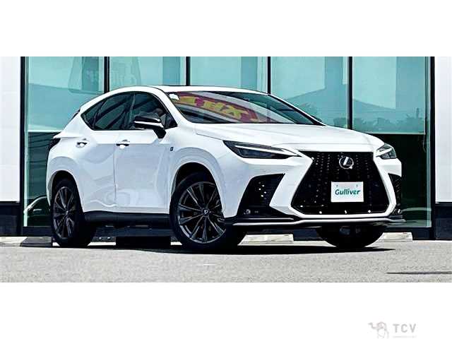2021 Lexus NX