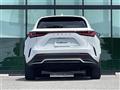 2021 Lexus NX