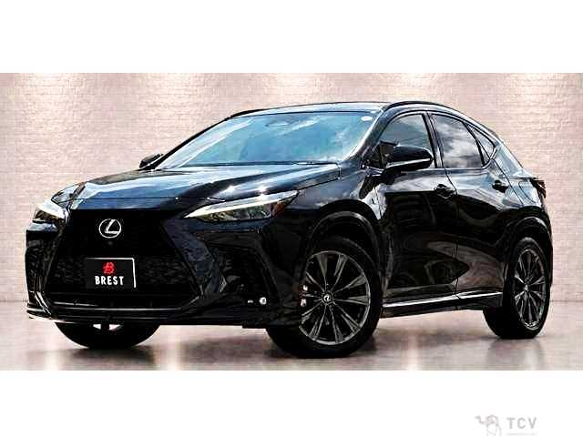 2021 Lexus NX