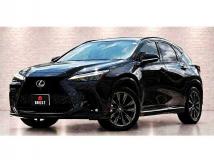 2021 Lexus NX