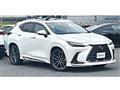2021 Lexus NX