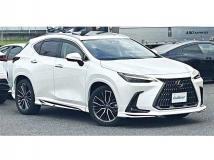 2021 Lexus NX
