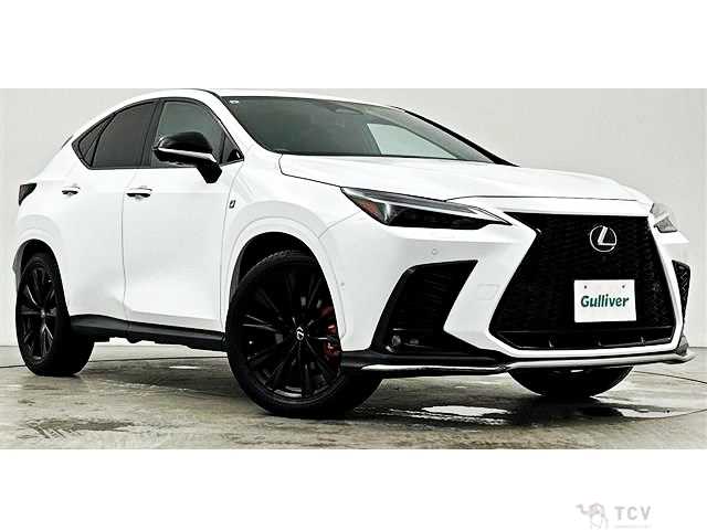 2021 Lexus NX