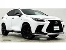 2021 Lexus NX