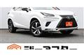 2020 Lexus NX