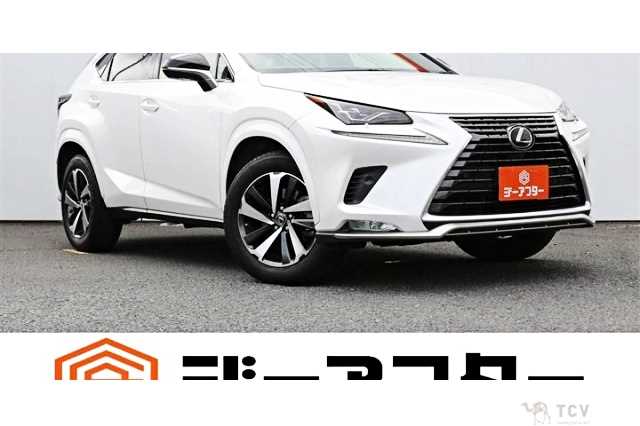 2020 Lexus NX