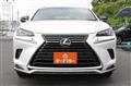 2020 Lexus NX