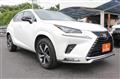 2020 Lexus NX
