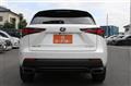 2020 Lexus NX