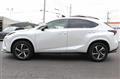 2020 Lexus NX