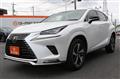 2020 Lexus NX